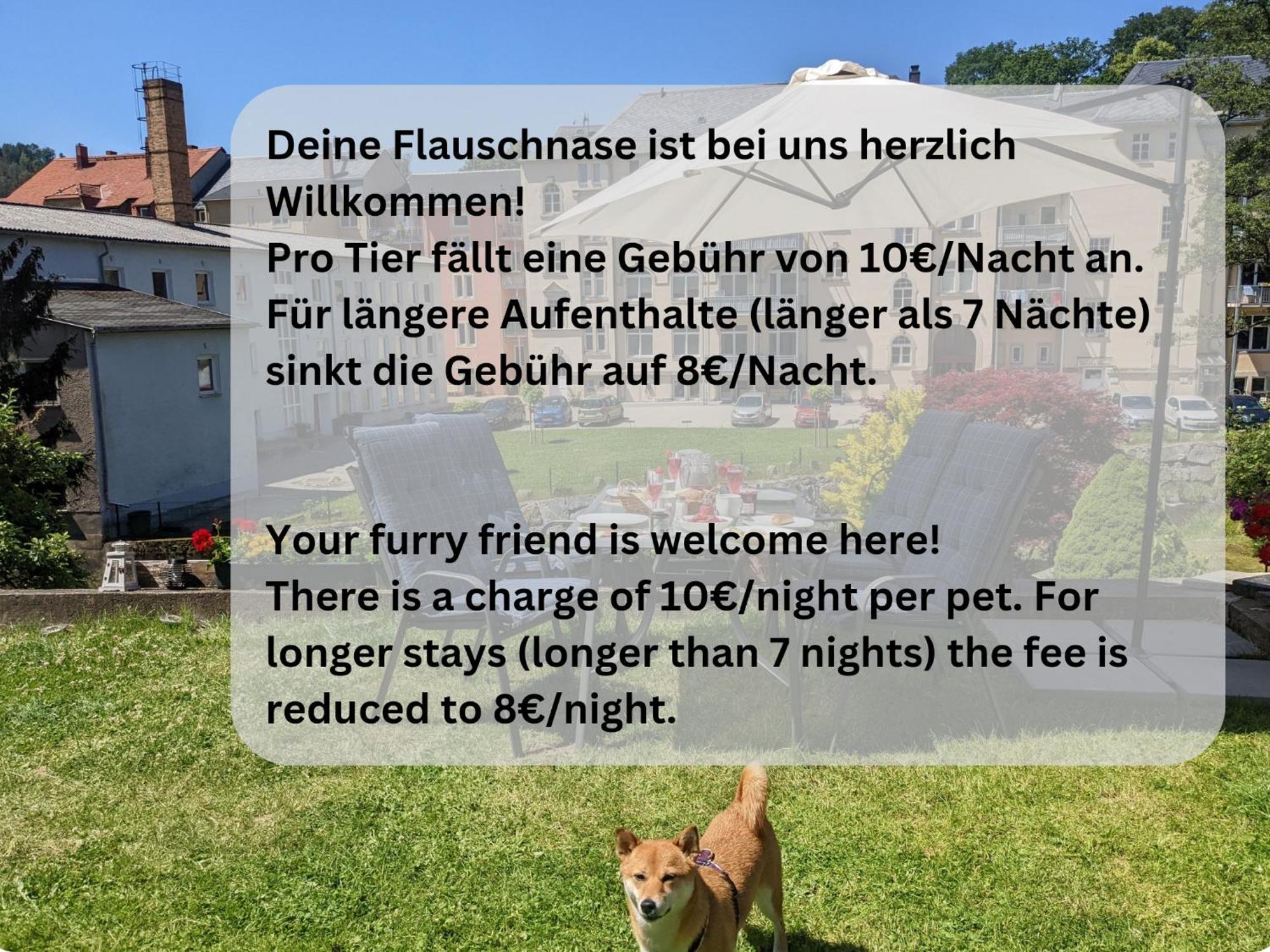 Famzi - Urlaubsmagie - Familienwohnung Mit Gemeinschaftsgarten, -Sauna & -Pool Sebnitz Exterior foto